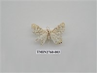 藏品(尺蛾329)的圖片